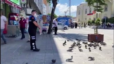 zabita memuru -  Meydanları mesken tutan güvercinleri zabıta besledi Videosu