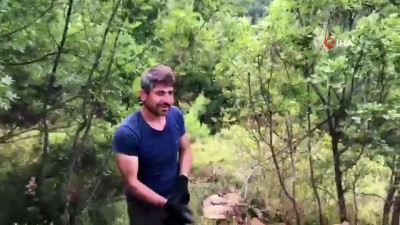 kamera -  Ormanda kazı yapan definecilere suçüstü Videosu