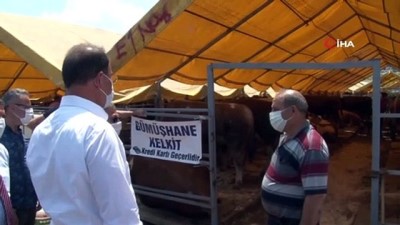 kurban pazari -  Beylikdüzü'nde kurban pazarına maskesiz girmek yasak Videosu