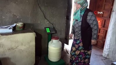  Fedakar anne, her gün 100 kilogram yoğurt satarak çocuklarını okutuyor
- Şadiye anne, 23 yıldır yoğurt satarak 8 çocuğunun eğitim masraflarını karşılıyor