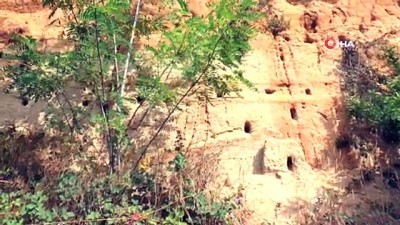 kirlangic -  Kum tepeleri kırlangıçların yuvaları oldu Videosu