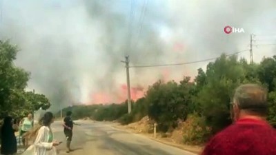 helikopter -  Çağan Irmak da paylaştı: “Seferihisar yanıyor” Videosu