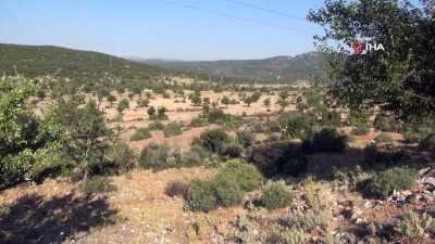 universite ogrencisi -  Kayıp Pınar’ın cansız bedeni ormanlık alanda bulundu Videosu