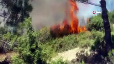 helikopter -  2 saatte kontrol altına alınan orman yangınında 5 hektar alan zarar gördü Videosu