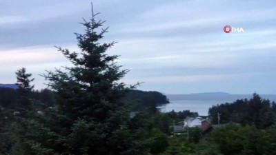 tsunami -  - Alaska’nın Kodiak şehrinde deprem sonrası siren sesleri duyuldu Videosu