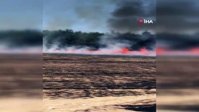 trol -  Gaziantep'te orman yangını Videosu