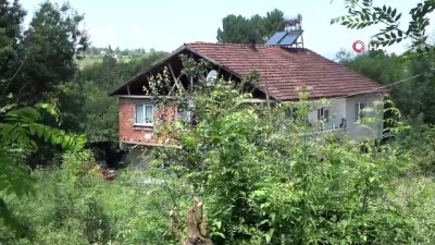 istihbarat -  İnşaat işçilerini önce öldürdüler, ardından römorka bindirip ormana gömdüler Videosu