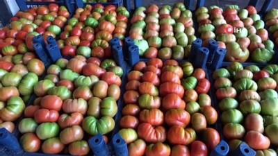  Kurban Bayramı öncesi sebze meyve ucuzluğu