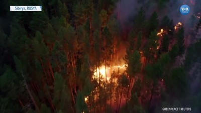 orman yanginlari - Sibirya’da Orman Yangınları Sürüyor Videosu