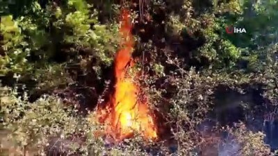 helikopter -  Tekirdağ’ın 2 ilçesinde orman yangını Videosu