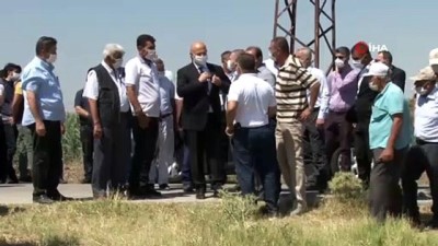 tarim arazisi -  Başkent’te 'Yerli Tarımsal Üretim Alanı' açıldı Videosu