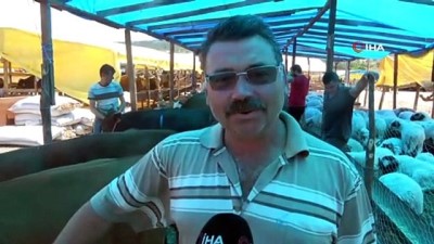 kurban pazari -  Bayrama bir hafta kala kurbanlıkların yarısı satıldı Videosu