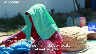 euro - Türkiye'nin 'görünmez işçileri': Mevsimlik tarım işlerinde çalışanların hayat mücadelesi Videosu