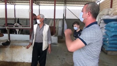 1 ton 100 kilogramlık 'Paşa' 27 bin liradan satıldı - KAHRAMANMARAŞ