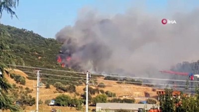 Bakan Pakdemirli’den İzmir’deki orman yangını hakkında açıklama