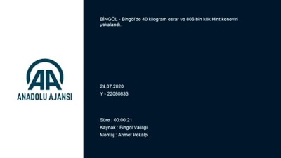 Bingöl'de 40 kilogram esrar ve 806 bin kök Hint keneviri ele geçirildi
