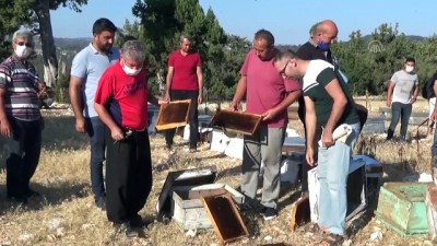 Erdemli'de arı kovanlarına zarar verildiği iddiası - MERSİN