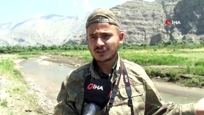 sadaka -  Eşlerine sadakati ile bilinen Angut kuşları Erzurum’da görüntülendi Videosu