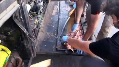gumruk kapisi -  Gümrük Muhafaza ekiplerinden kara gümrük kapılarında dev uyuşturucu operasyonu Videosu