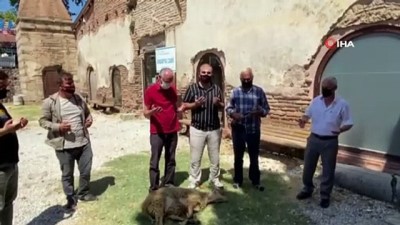  İstanbul Ayasofya için İznik Ayasofya’da kurban kesildi