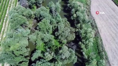  Nehrin ortasındaki adacığı zehir bahçesine çevirmişler