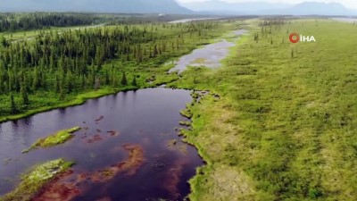 kuresel isinma -  - Türk çift Alaska’da küresel ısınmayı görüntüledi
- Alaska’nın büyüleyici manzarasını havadan görüntülediler Videosu