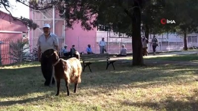 keci -  Yalnızlıktan sıkılınca sahiplendiği keçiyle dost oldu Videosu