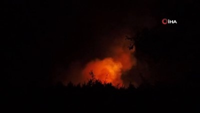  Edirne'deki orman yangını tamamen kontrol altına alındı
