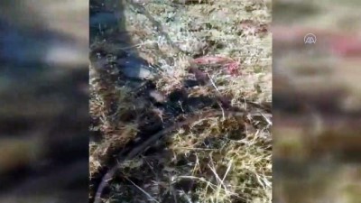 amonyum nitrat - Hakurk’ta icra edilen arama tarama faaliyetinde EYP tespit edilerek imha edildi Videosu