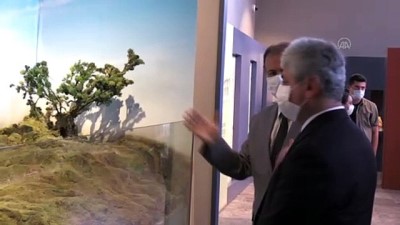 isaf - Hoşgörü kentinin tarihi taş binası Şehir Müzesi'ne dönüştürüldü - HATAY Videosu