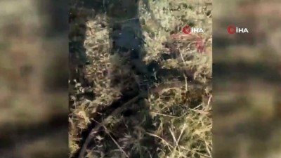 uzaktan kumanda -  Irak'ın kuzeyinde 1 adet uzaktan kumandalı EYP imha edildi Videosu