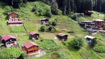 turizm cenneti -  Ayder Yaylası alt yapı çalışmalarının tamamlanması ile ziyarete açıldı Videosu