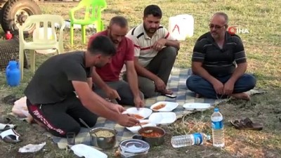 gurbetci -  Biçerdövercilerin zorlu gurbet mesaisi Videosu