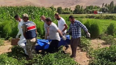 jandarma -  Kayıptı ayçiçeği tarlasında ölü bulundu Videosu