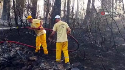 orman alani -  Mangaldan çıkan yangın 7 hektarlık orman alanı yok etti Videosu