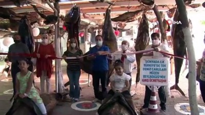  Türkiye Deniz Canlıları müzesi kapılarını tekrar açtı