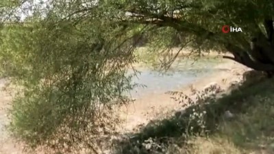 yuzme -  Yanlış sulama akarsuyu kuruttu Videosu