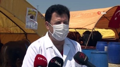 kurban pazari -  Ankara İl Tarım ve Orman Müdürlüğü'nden Kurban Bayramı öncesi denetim Videosu