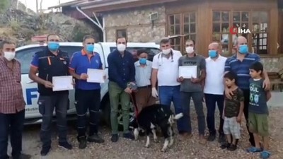 kabiliyet -  Kayalıklarda mahsur kalan keçiyi AFAD kurtardı Videosu