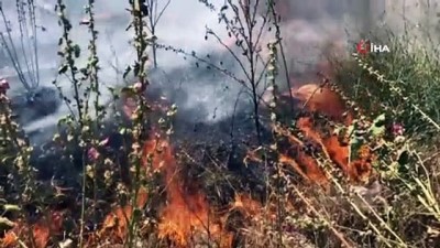 aniz yangini -  Bursa'da anız yangınları tehlike saçıyor Videosu