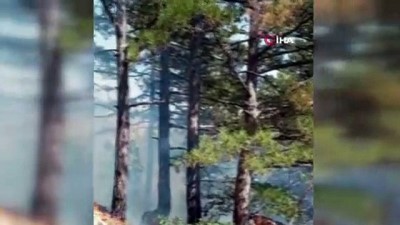 ercek -  Bursa'da arazi yangını kontrol altına alındı Videosu