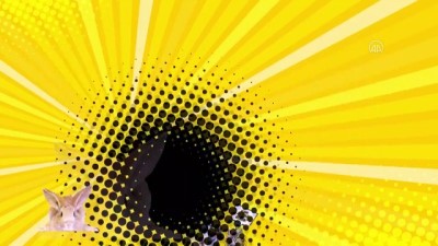 mobil uygulama - Çevre, doğa ve hayvanların korunması için 'HAYDİ' devrede Videosu