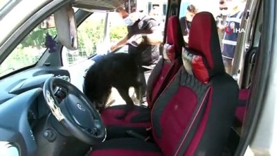 dedektor kopek -  Denizli'de huzur ve güven operasyonları devam ediyor Videosu