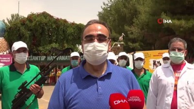 buyukbas hayvan -  Firari danalar drone ile takip edilecek Videosu