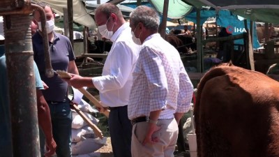 kurban pazari -  İzmir'de “sopalı” kurban pazarlığı Videosu