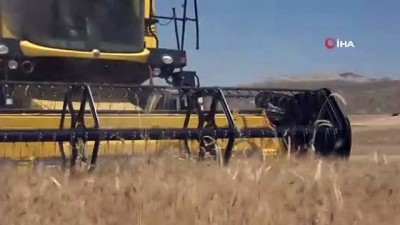 gida sikintisi -  Kışın yağan kar, buğday üreticisinin yüzünü güldürdü Videosu