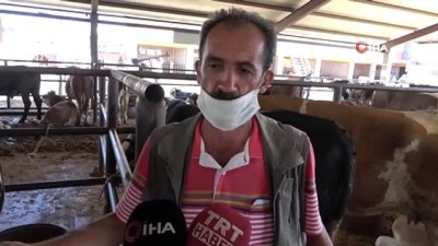 la paz -  Korona virüse karşı sopa ve halatlarla kurban pazarlığı Videosu
