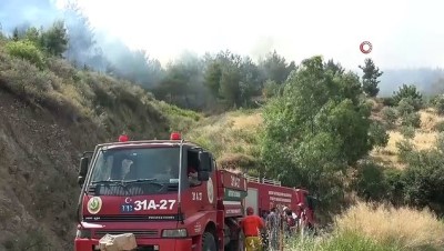  4 farklı noktada orman yangını