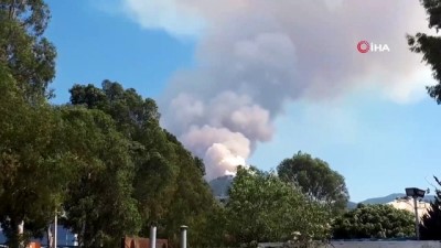  Balçova'da orman yangını