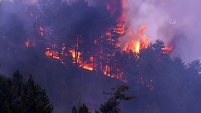 Beyşehir'de orman yangını - KONYA